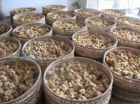 廣西靈山假三黃雞苗——農副產品市場的機遇與挑戰