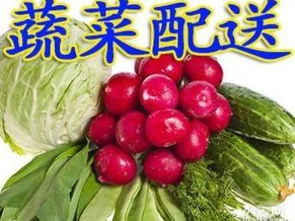 北京新發(fā)地批發(fā)市場 同城食堂農(nóng)副產(chǎn)品食材專業(yè)配送服務(wù)