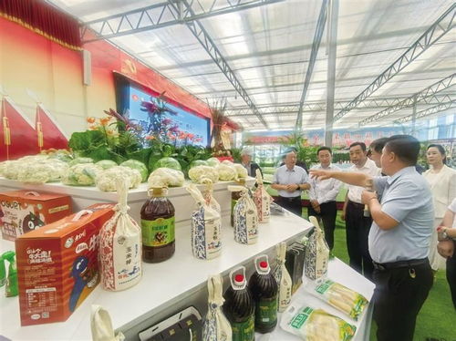 2025中國榆中高原夏菜新品博覽會盛大開幕，1087個新品種引領(lǐng)農(nóng)業(yè)創(chuàng)新