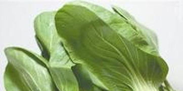 東莞農(nóng)副產(chǎn)品智能配送中心全面啟動 高效服務(wù)惠及超兩萬居民